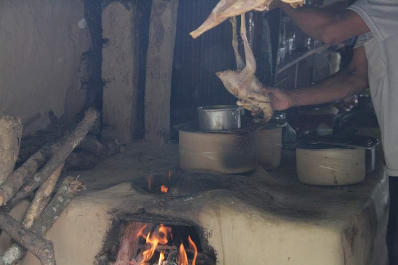 India & Nepal 2011 - 0625